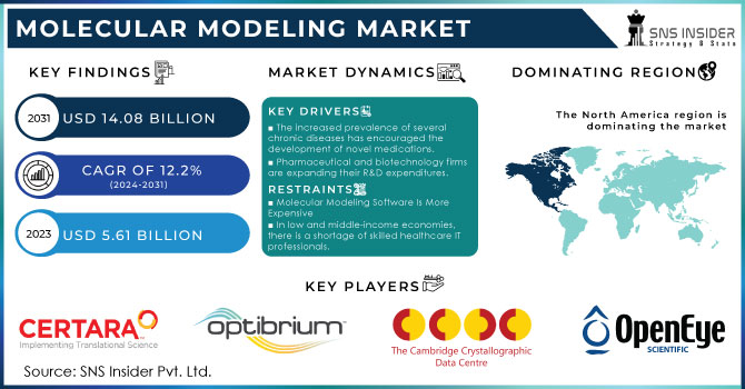 Molecular Modeling Market Revenue Analysis