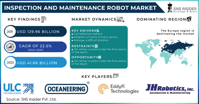 Inspection and Maintenance Robot Market Revenue Analysis