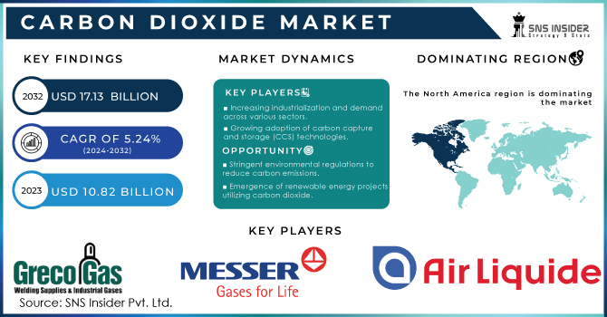 Carbon Dioxide Market Revenue Analysis