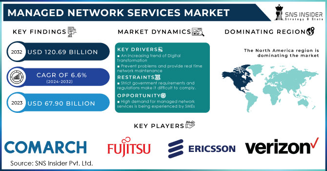 Managed Network Services Market Revenue Analysis