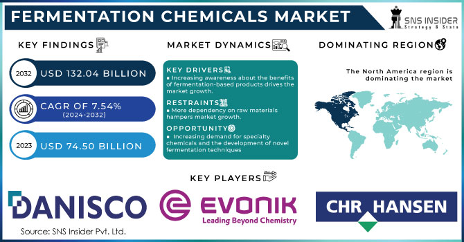 Fermentation Chemicals Market Revenue Analysis