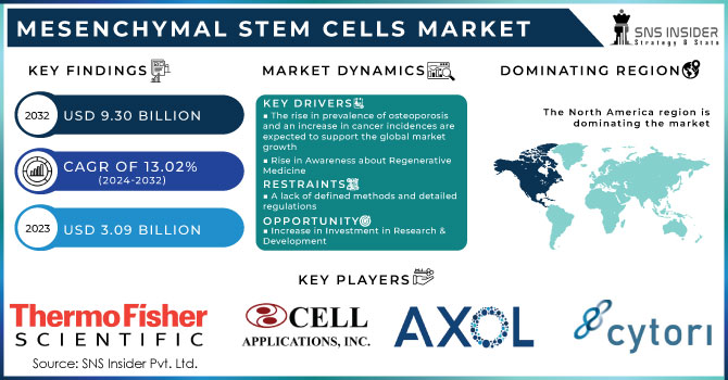 Mesenchymal Stem Cells Market, Revenue Analysis
