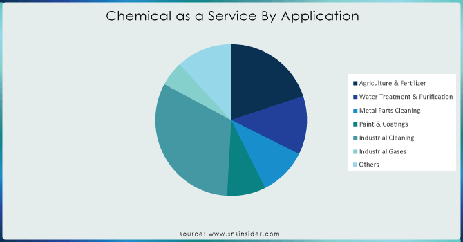 Chemical-as-a-Service-By-Application