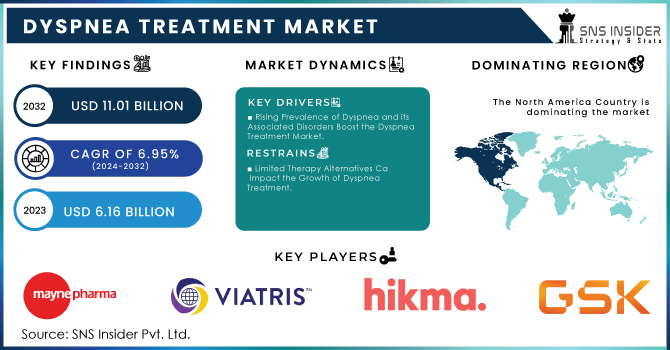 Dyspnea Treatment Market Revenue Analysis