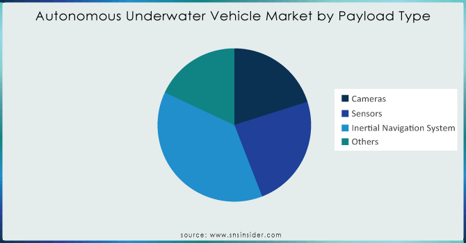 Autonomous-Underwater-Vehicle-Market-by-Payload-Type