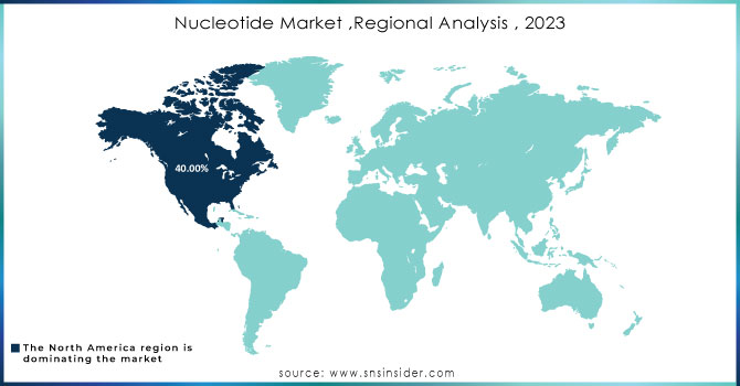 Nucleotide-Market-Regional-Analysis--2023