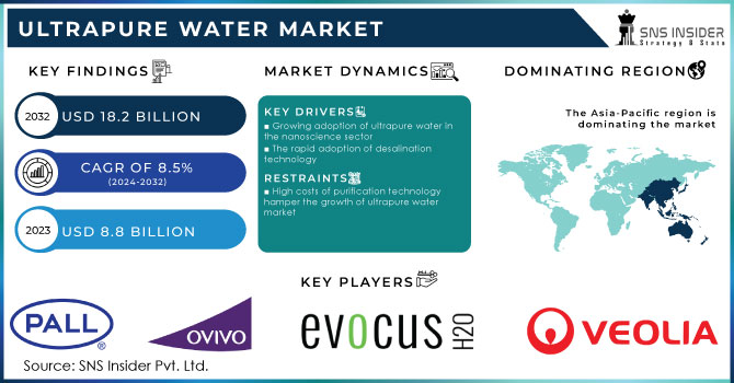 Ultrapure Water Market Revenue Analysis