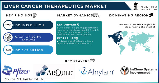 Liver Cancer Therapeutics Market Revenue Analysis