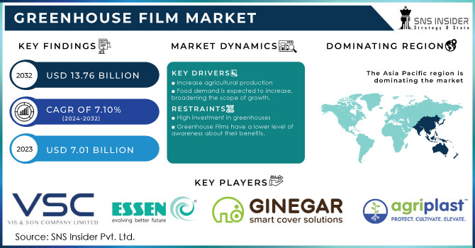 Greenhouse Film Market Revenue Analysis