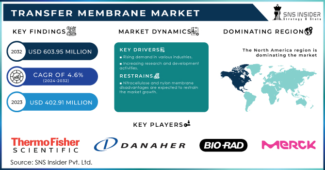 Transfer-Membrane-Market Revenue Analysis