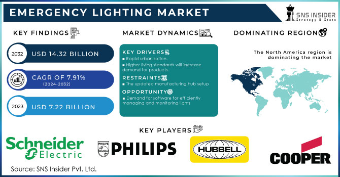 Emergency Lighting Market Revenue Analysis