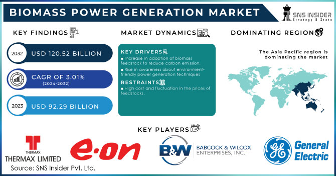 Biomass Power Generation Market Revenue Analysis