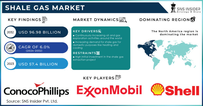 Shale Gas Market,Revenue Analysis