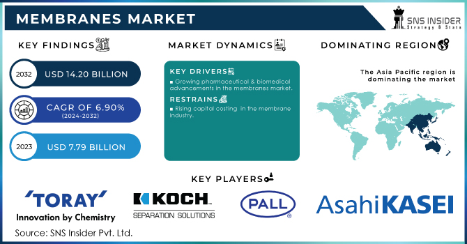 Membranes Market Revenue Analysis