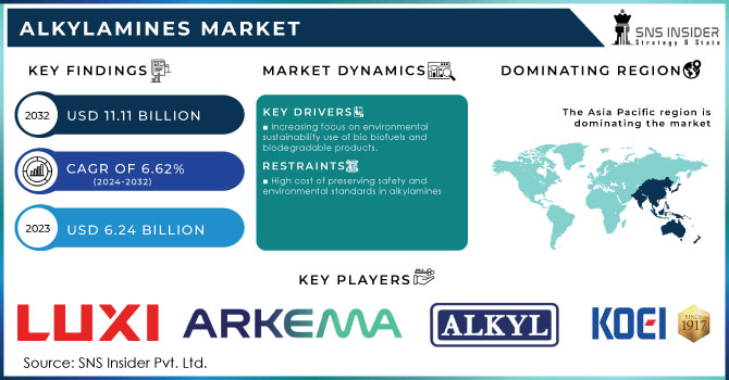 Alkylamines Market Revenue Analysis