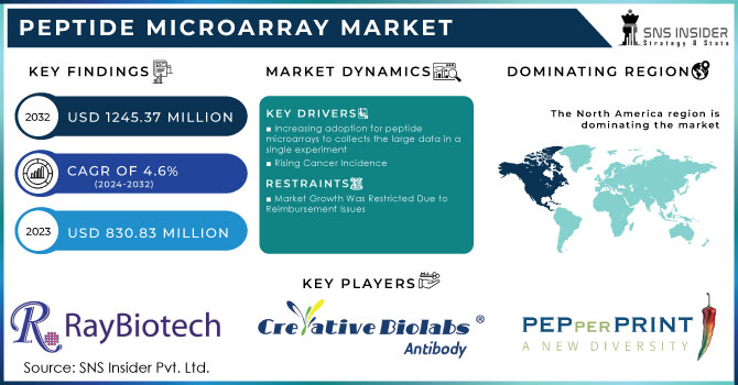 Peptide Microarray Market Revenue Analysis