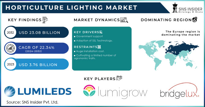 Horticulture Lighting Market Revenue Analysis