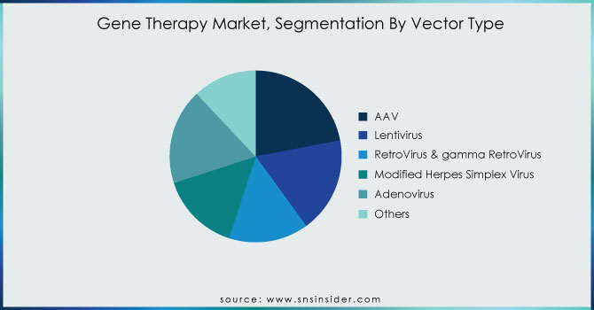 Gene-Therapy-Market-Segmentation-By-Vector-Type