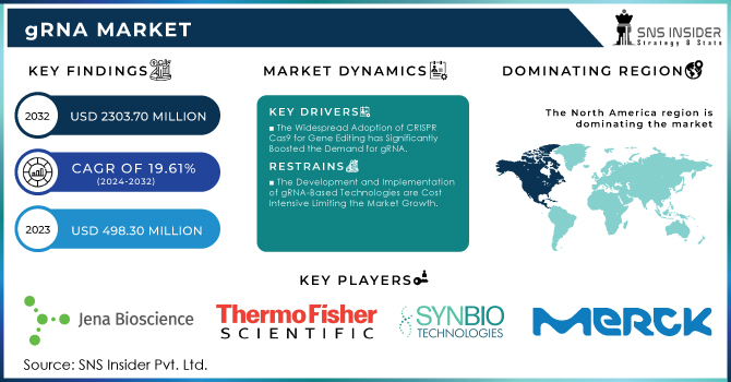 gRNA Market Revenue Analysis