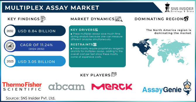 Multiplex Assay Market Revenue Analysis