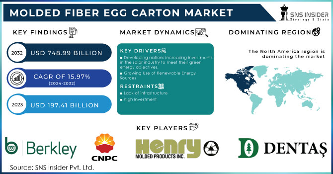 Molded Fiber Egg Carton Market Revenue Analysis