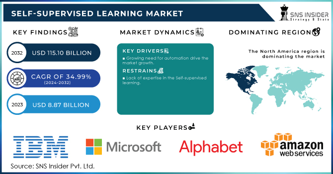 Self-supervised Learning Market Revenue Analysis