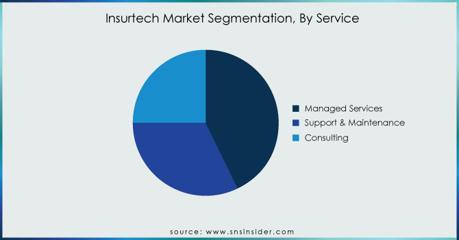 Insurtech-Market-Segmentation-By-Service