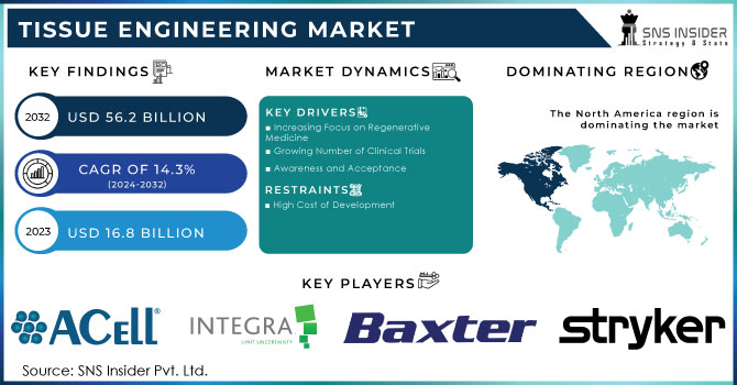 Tissue Engineering Market Revenue Analysis