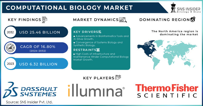 Computational Biology Market Revenue Analysis