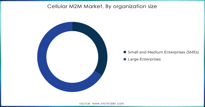 Cellular-M2M-Market-By-organization-size