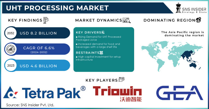 UHT Processing Market Revenue Analysis