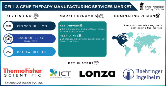 Cell & Gene Therapy Manufacturing Services Market Revenue Analysis