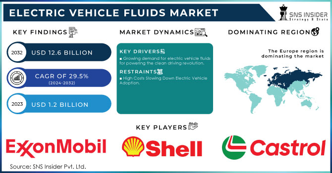 Electric Vehicle Fluids Market Revenue Analysis