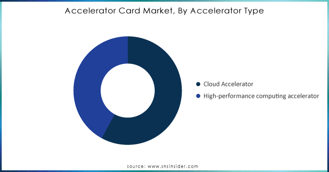 Accelerator Card Market, By Accelerator Type