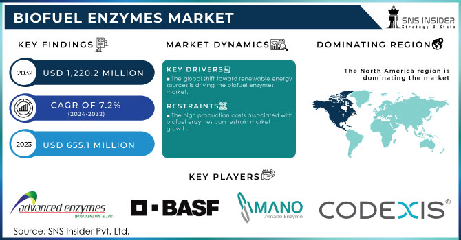 Biofuel Enzymes Market Revenue Analysis