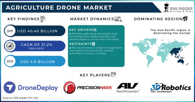 Agriculture Drone Market Revenue Analysis