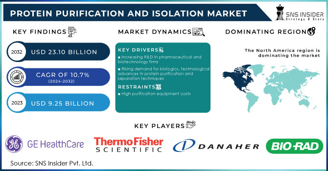 Protein Purification and Isolation Market Revenue Analysis