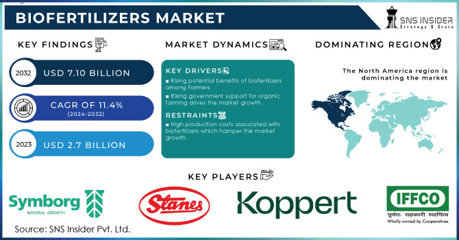 Biofertilizers Market Revenue Analysis