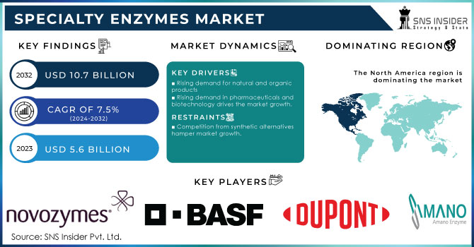 Specialty Enzymes Market,Revenue Analysis