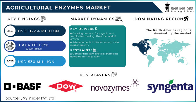 Agricultural Enzymes Market Revenue Analysis