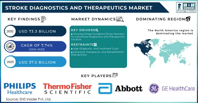 Stroke Diagnostics and Therapeutics Market Revenue Analysis