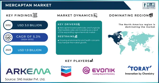 Mercaptan Market Revenue Analysis