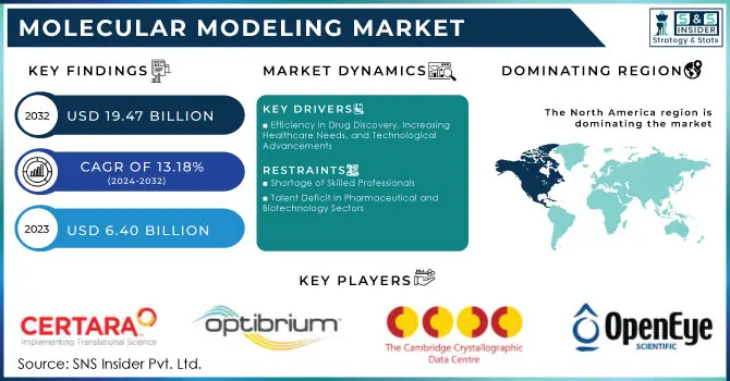 Molecular Modeling Market,Revenue Analysis