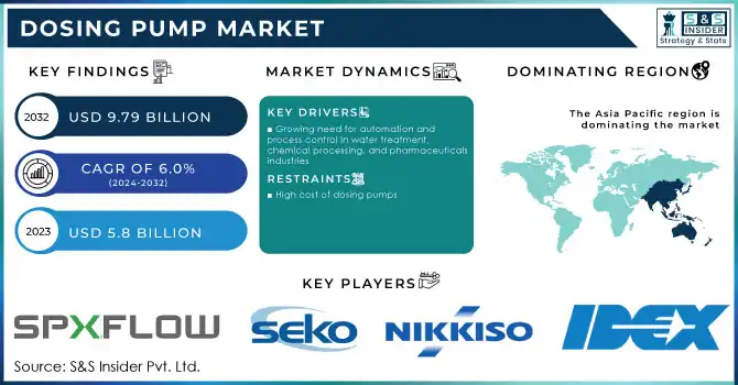 Dosing Pump Market Revenue Analysis