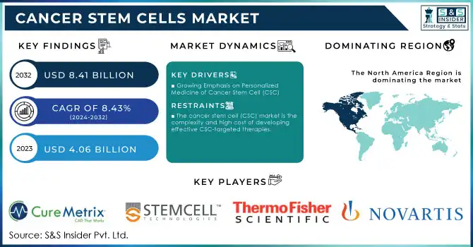 Cancer Stem Cells Market, Revenue Analysis