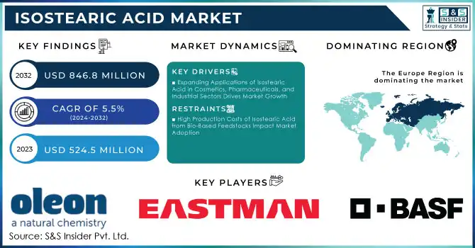 Isostearic Acid Market Revenue Analysis