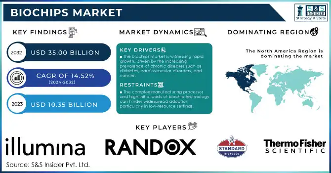 Biochips Market Revenue Analysis