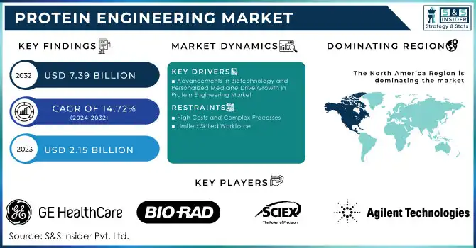 Protein Engineering Market Revenue Analysis