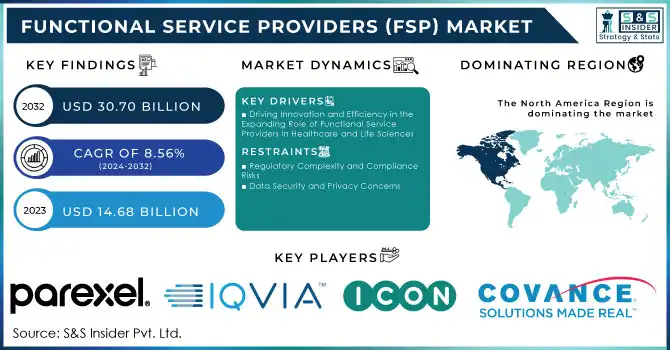 Functional Service Providers (FSP) Market Revenue Analysis