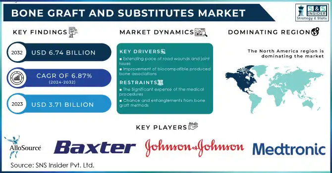 Bone Graft and Substitutes Market Revenue Analysis